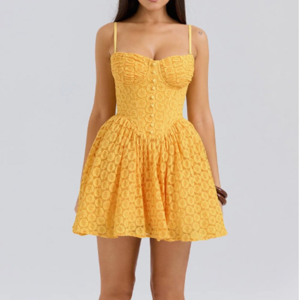 Carolina Stretch Lace Corset Minidress